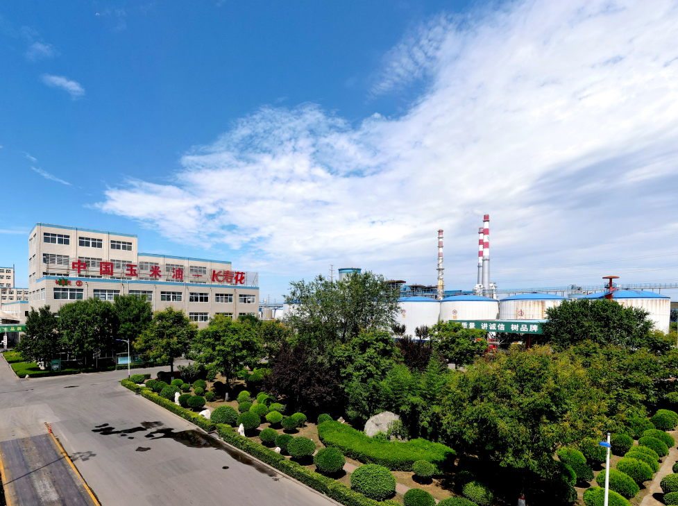 這些屬于長(zhǎng)壽花的關(guān)鍵詞標(biāo)簽，你了解嗎