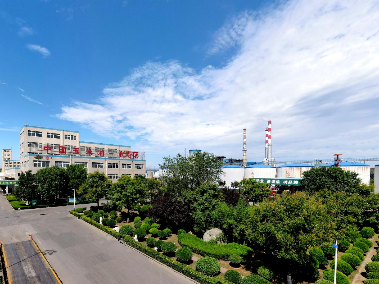 祝賀！長壽花食品榮獲中國農(nóng)業(yè)科學(xué)院杰出科技創(chuàng)新獎