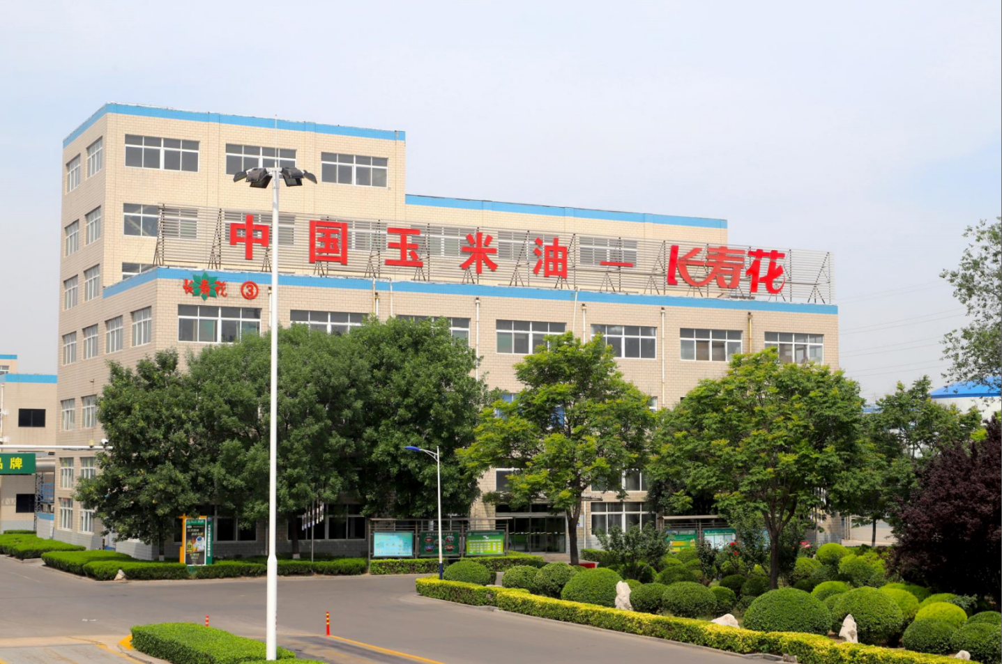 【喜報(bào)】長壽花入選2024年度山東省“頭雁”企業(yè)名單