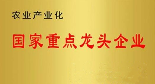 國家重點龍頭企業(yè)！山東三星集團連續(xù)上榜